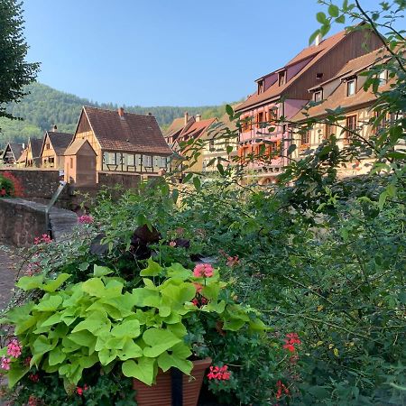 Studio Cosy Kaysersberg Centre Buitenkant foto