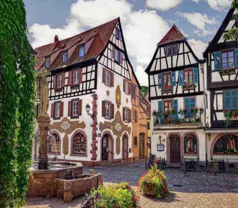 Studio Cosy Kaysersberg Centre Buitenkant foto